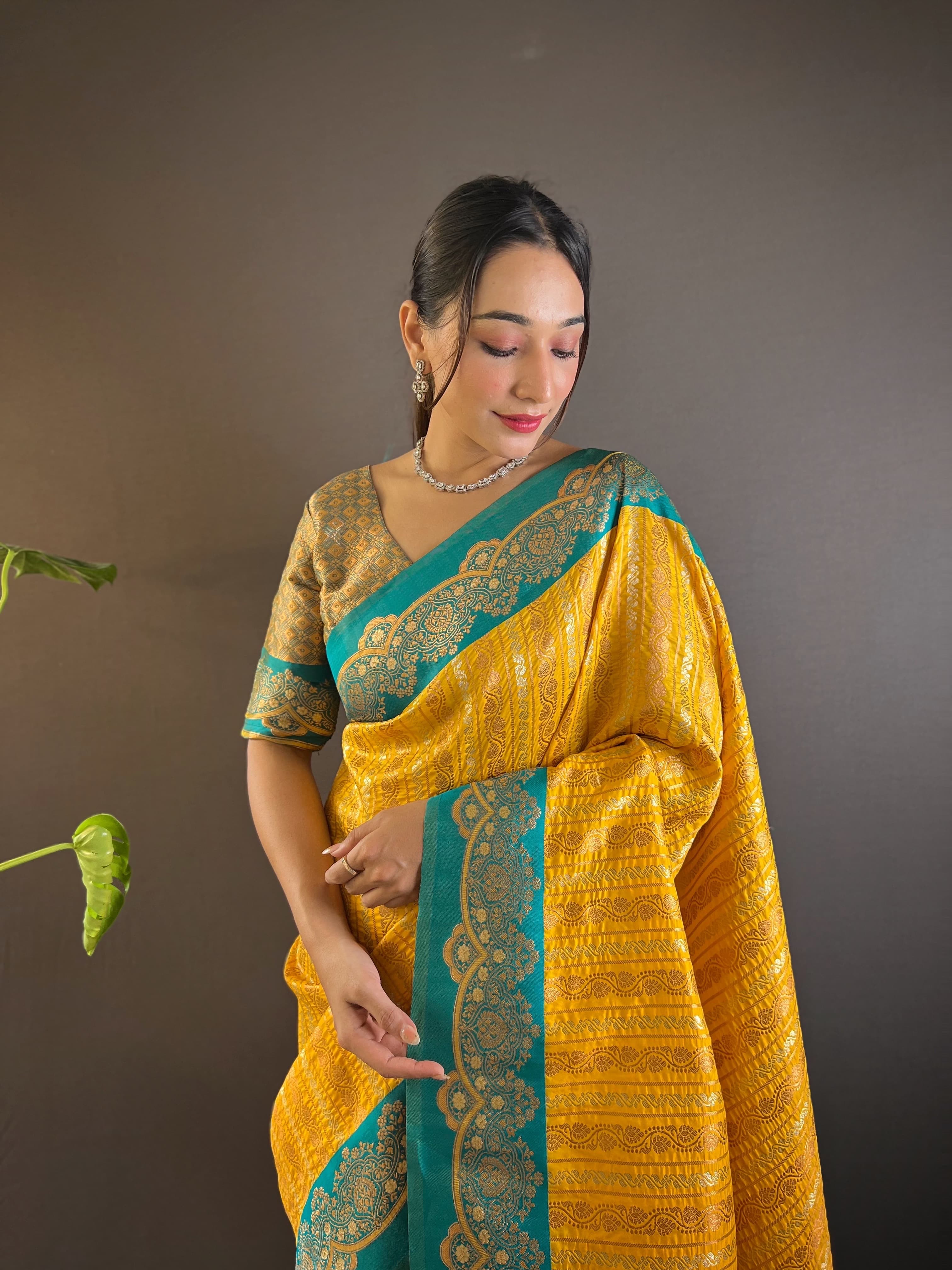 Banarasi Saree