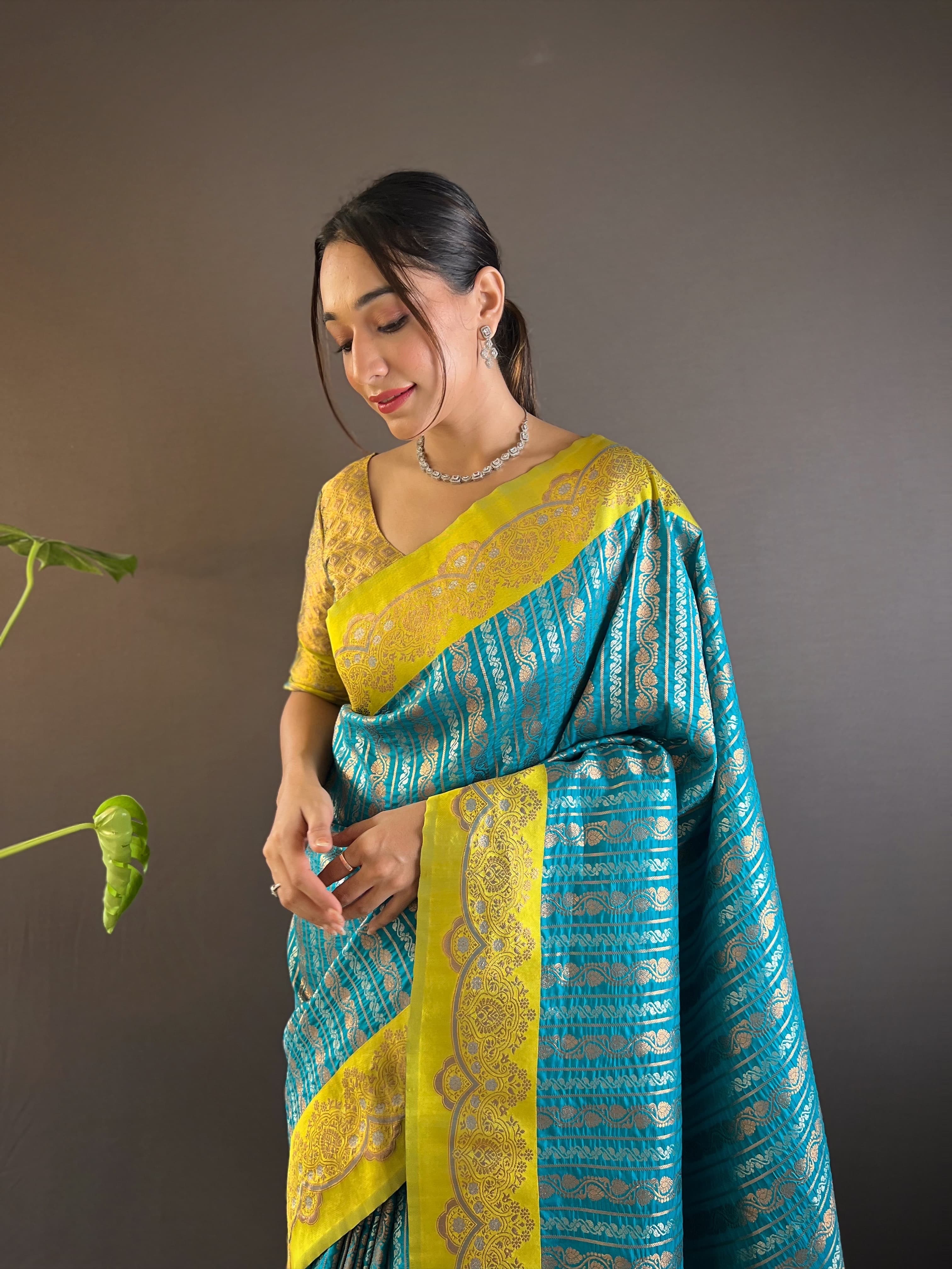 Banarasi Saree