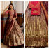 Half Lehanga Saree