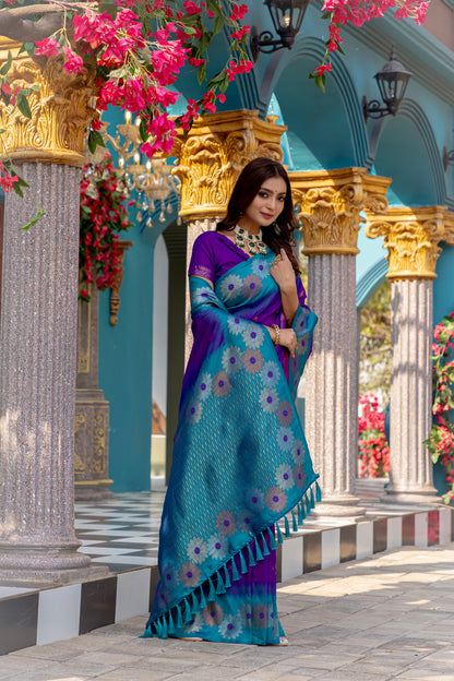 Banarasi Silk Saree