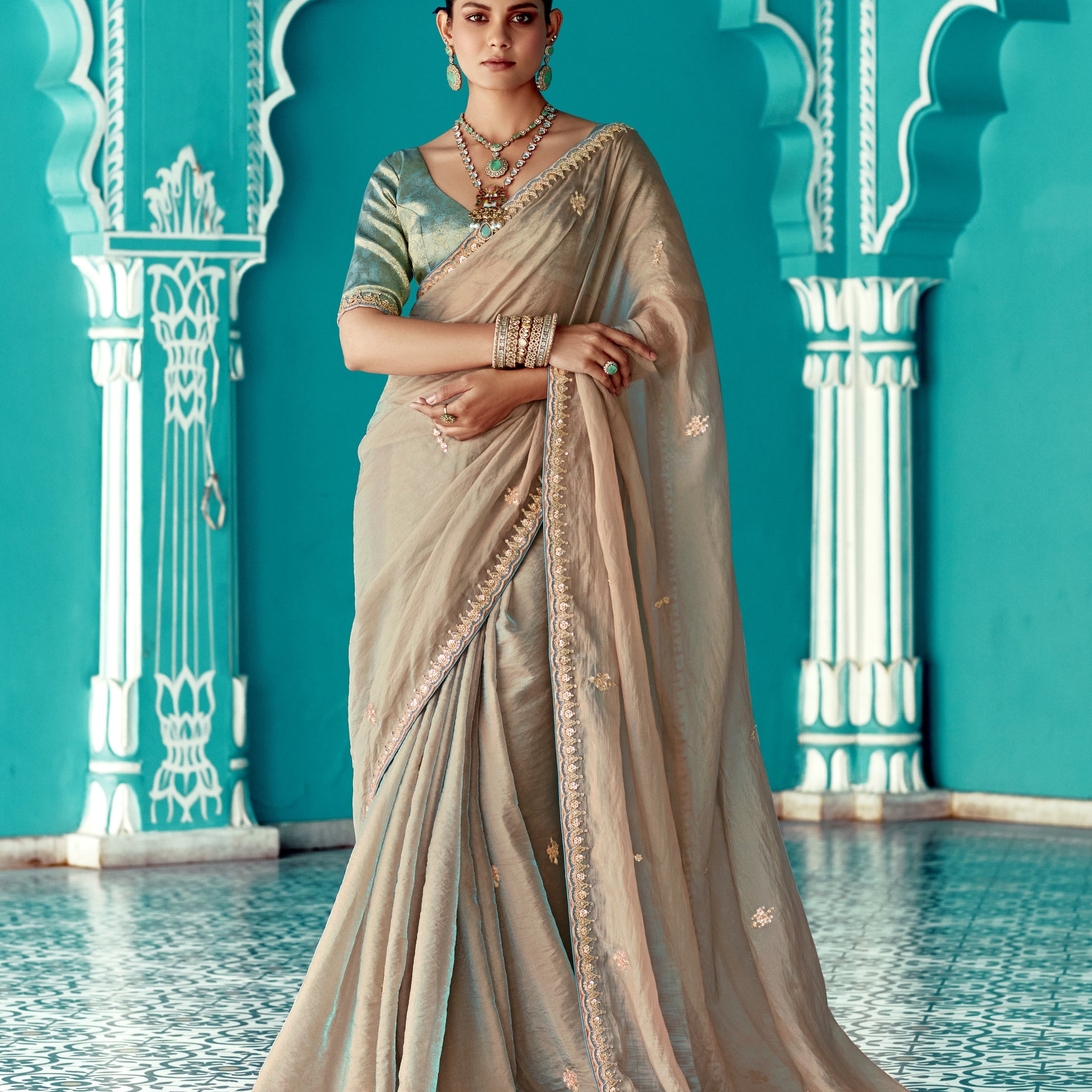 Taupe Grey Glass Tissue Saree with Embroidery