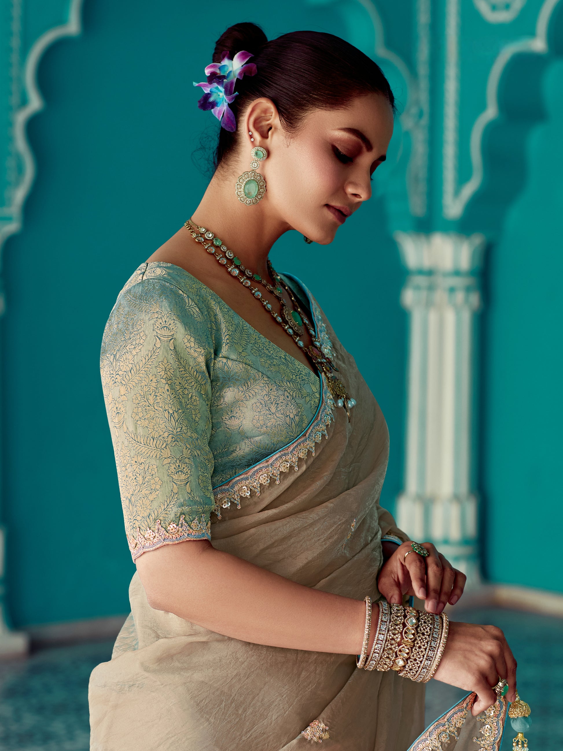 Taupe Grey Glass Tissue Saree with Embroidery