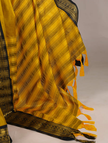 Cotton saree