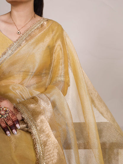 Tissue Saree