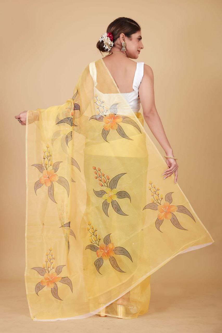 Organza Saree