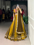 Chaniya Choli