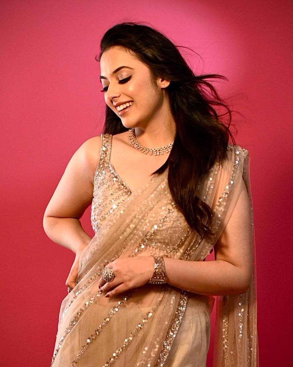 Net Saree