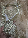 Net Saree