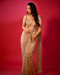 Net Saree