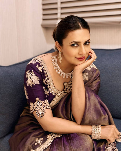 Sequins Saree