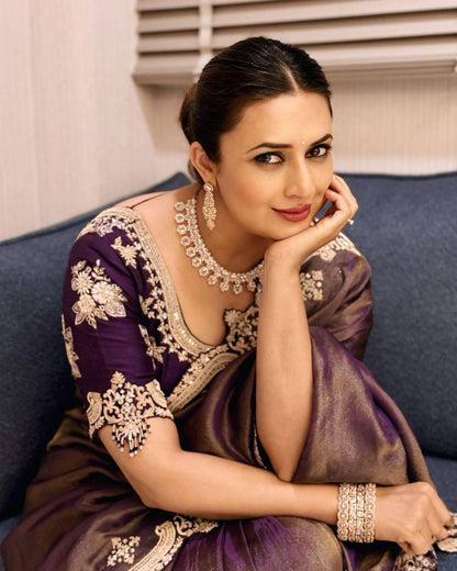 Sequins Saree