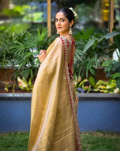 Jimmy Choo Saree