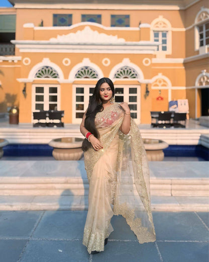 Sequins Saree