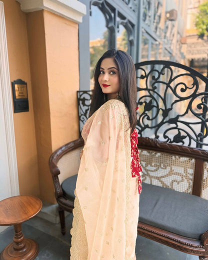 Sequins Saree