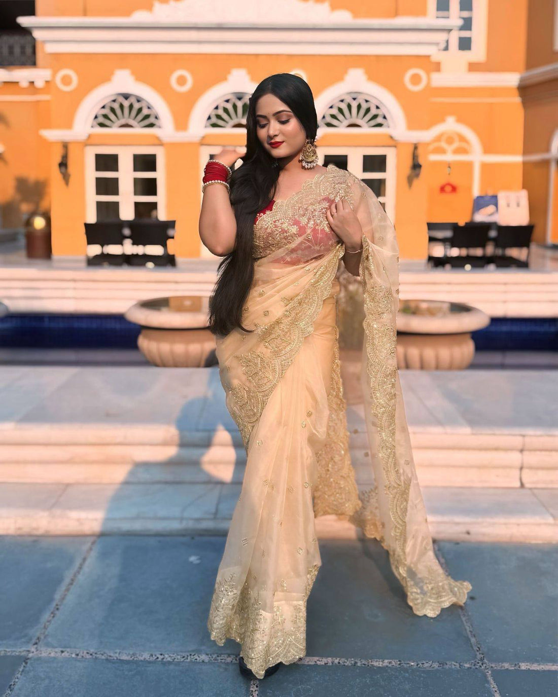 Sequins Saree