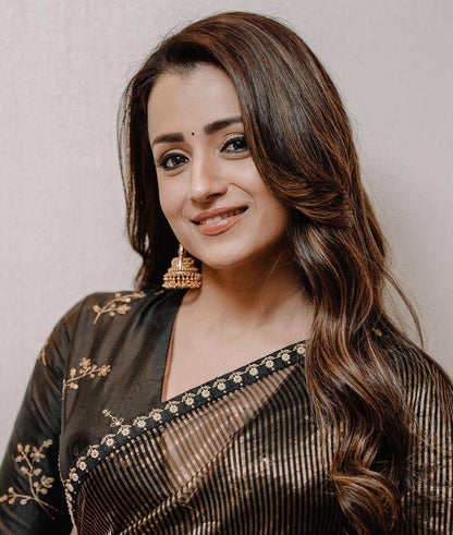Sequins Saree