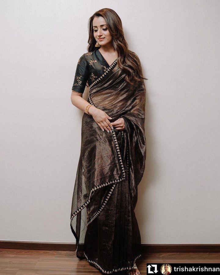 Sequins Saree