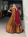 South Indian Gown