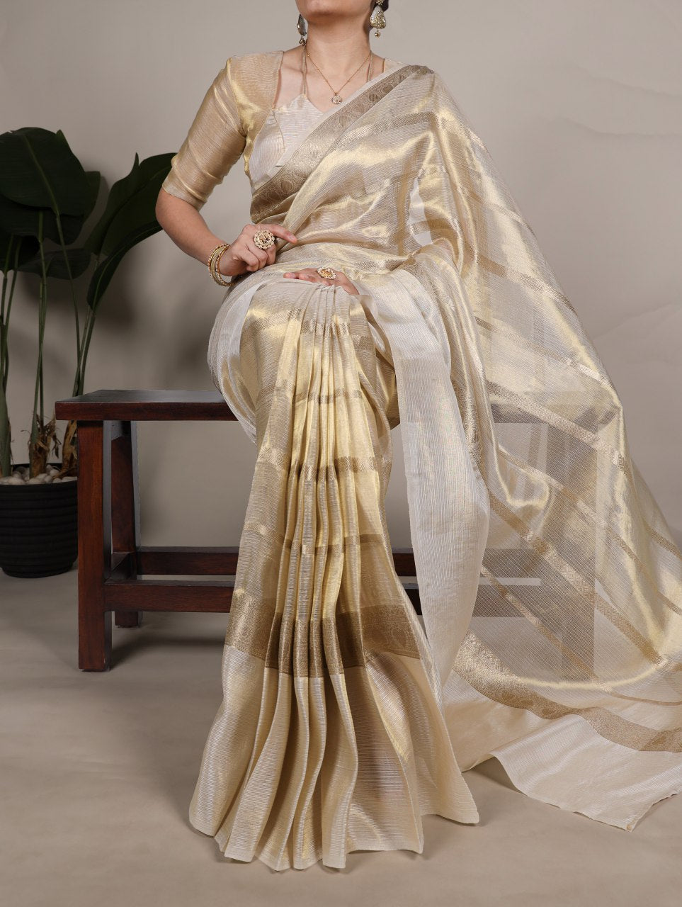 Tissue Saree