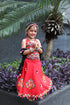 Navratri Lehenga Choli