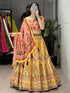 Navratri Chaniya Choli