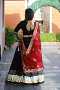 Navratri Chaniya Choli