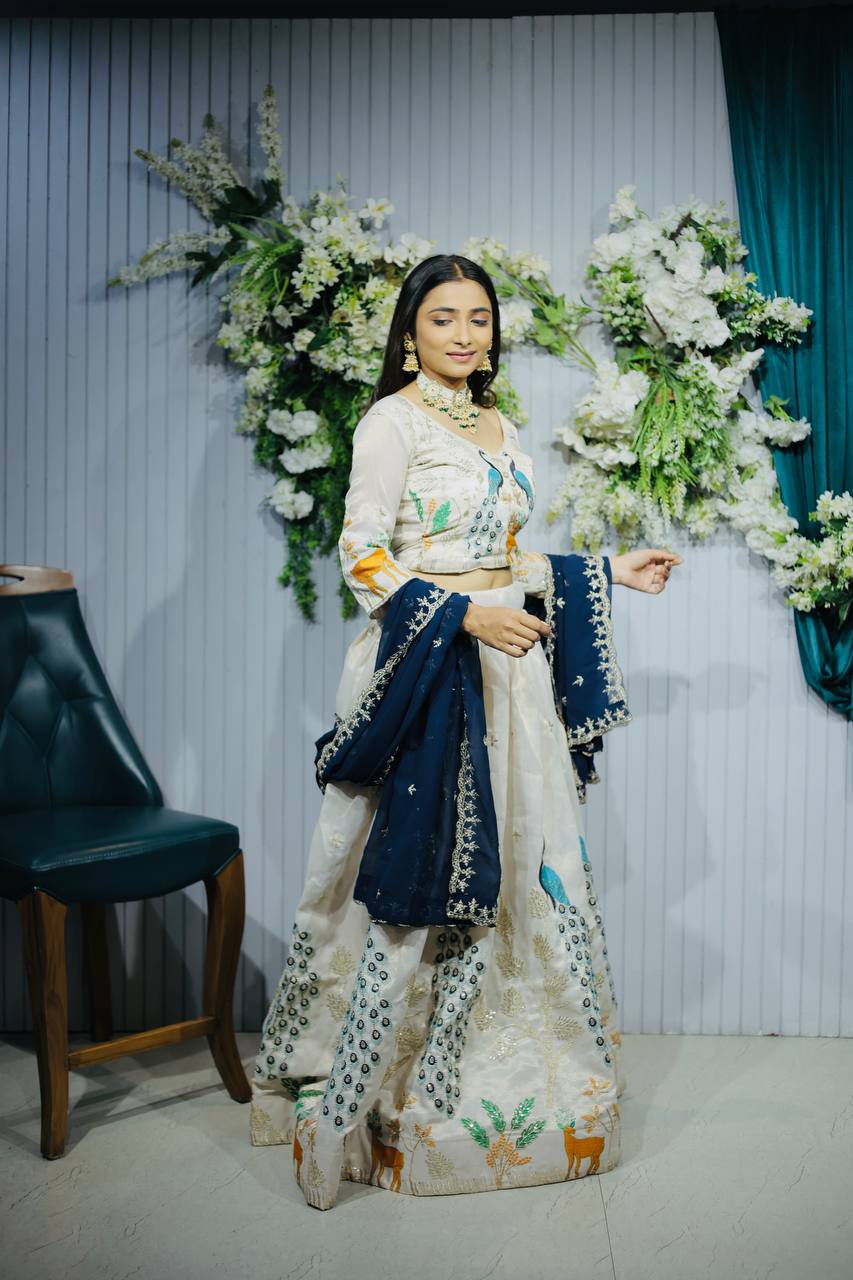 Navratri Chaniya Choli