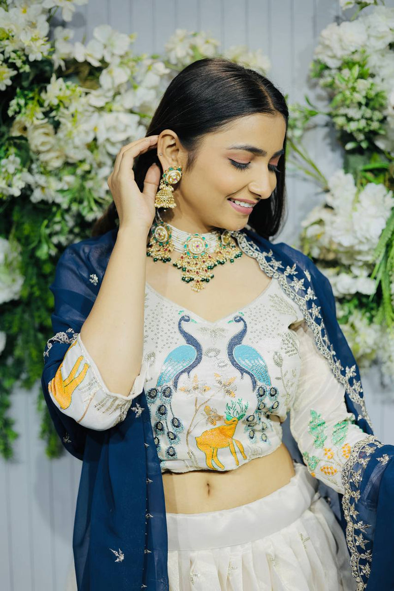 Navratri Chaniya Choli