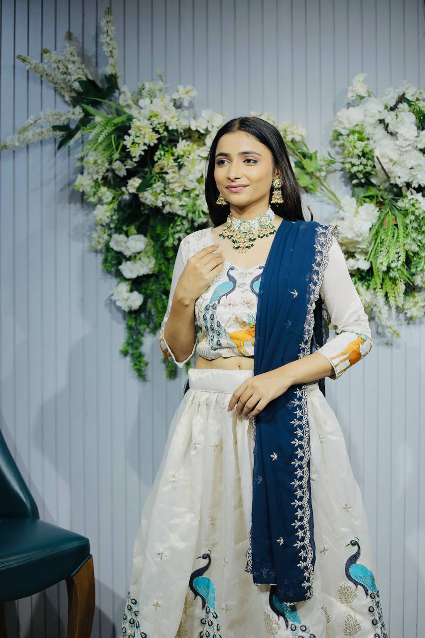 Navratri Chaniya Choli