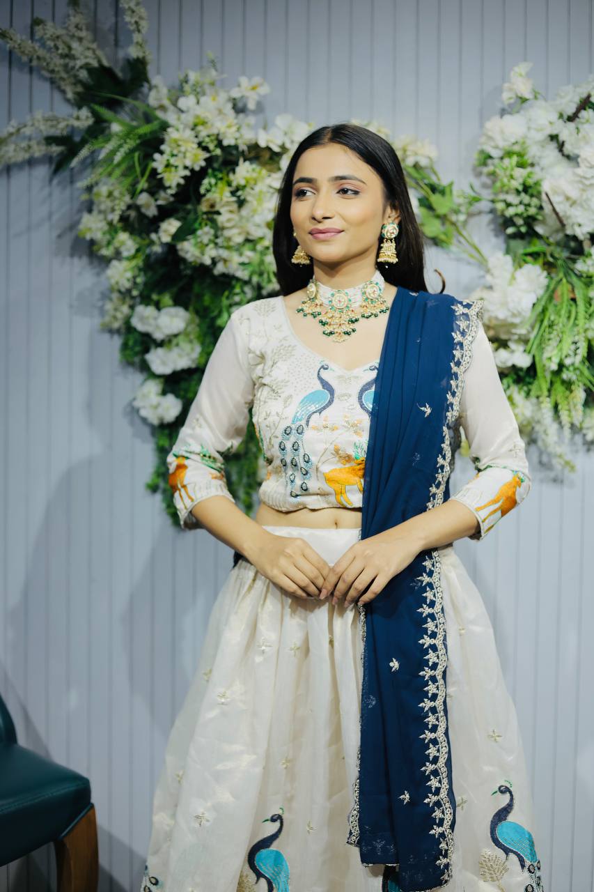 Navratri Chaniya Choli