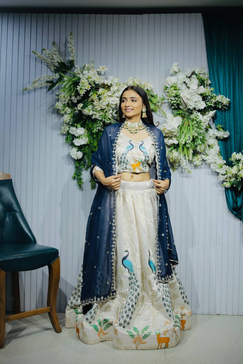 Navratri Chaniya Choli