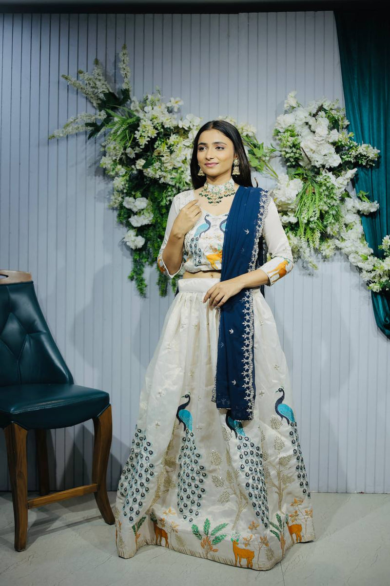 Navratri Chaniya Choli