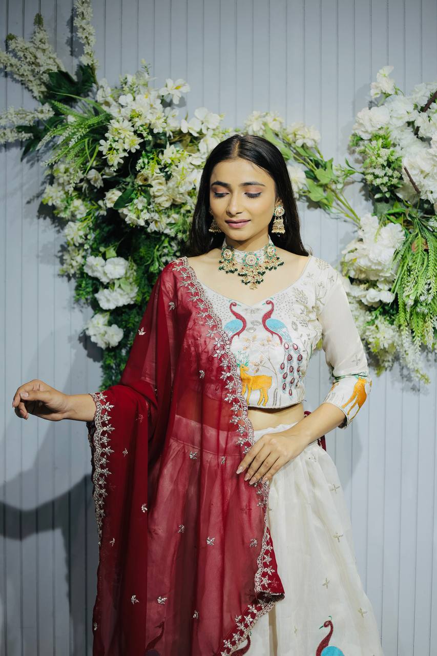 Navratri Chaniya Choli