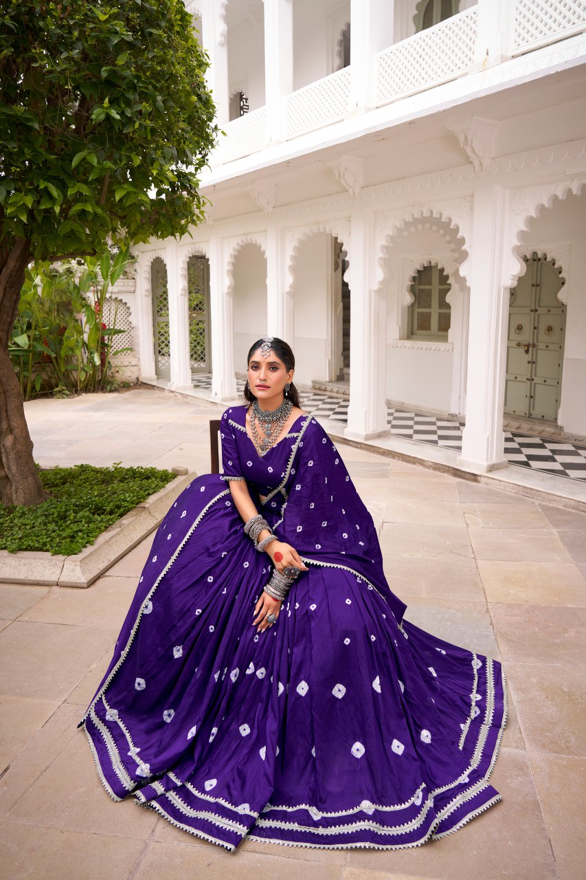 Navratri Chaniya Choli