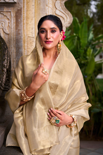 Tissue Saree