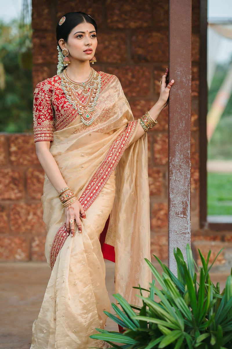 Jimmy Choo Saree