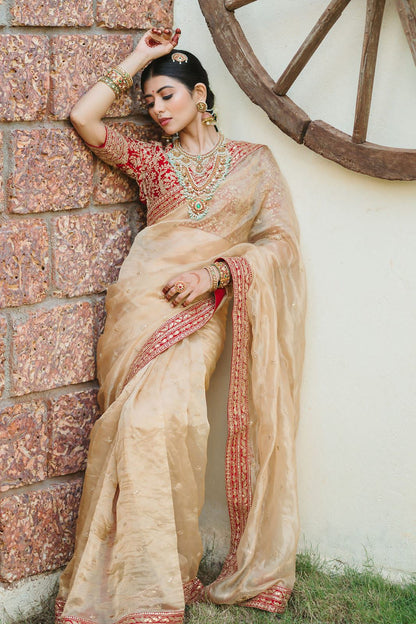Jimmy Choo Saree