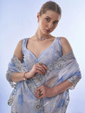 Sequins Saree