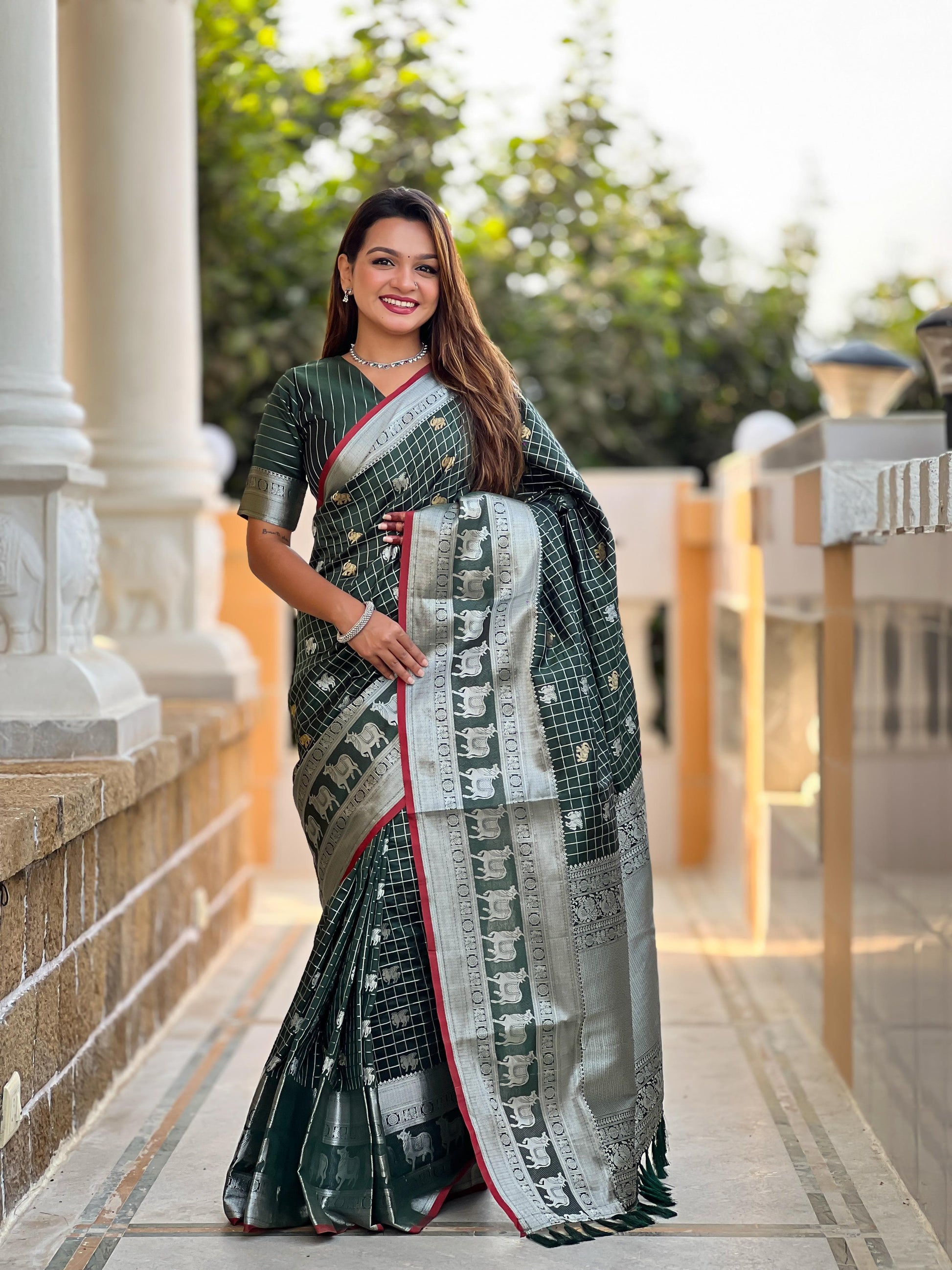 Banarasi Saree