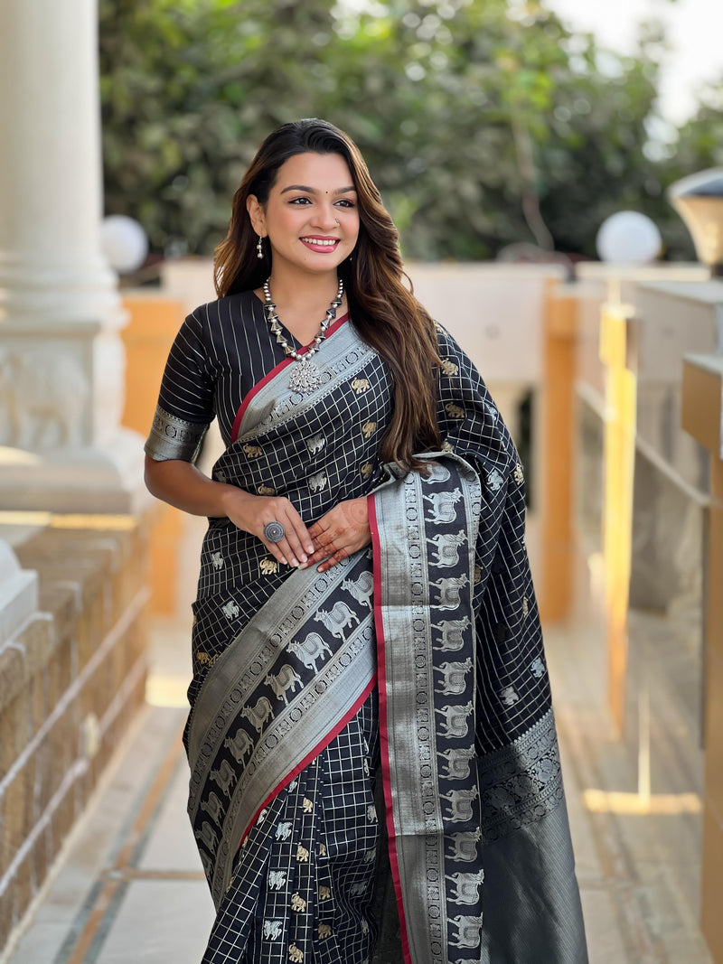 Banarasi Saree