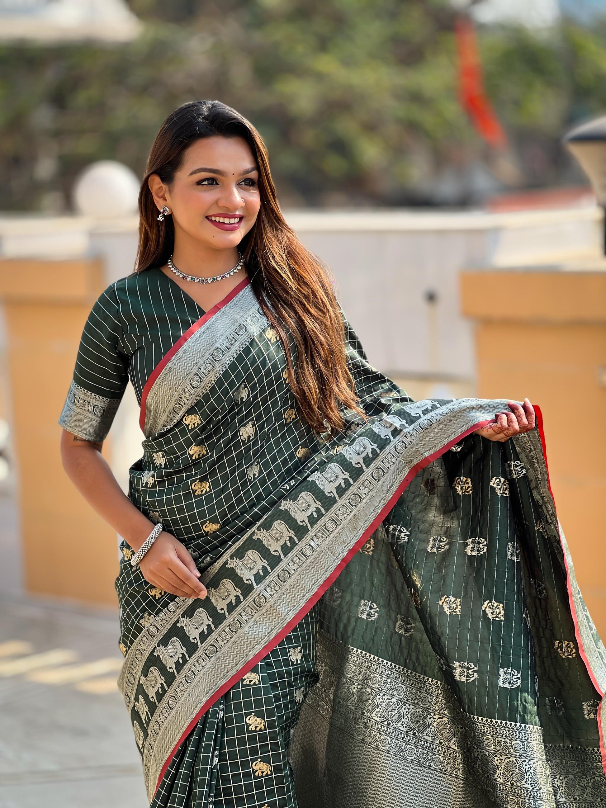 Banarasi Saree