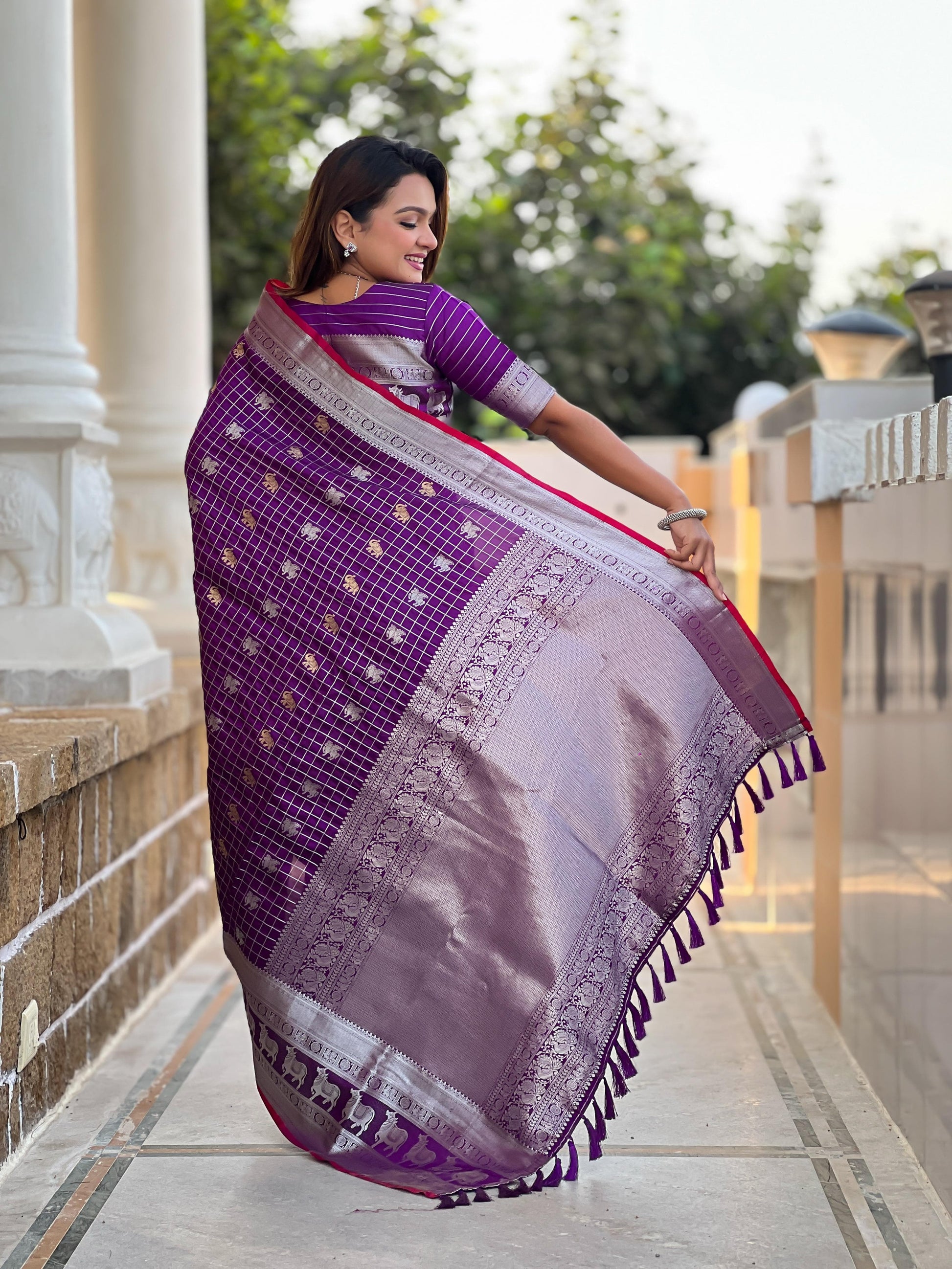 Banarasi Saree