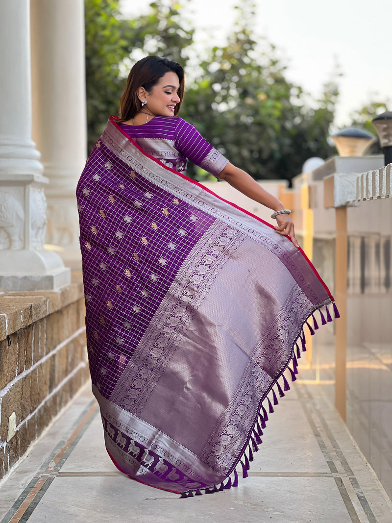Banarasi Saree