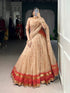 Cream Pure Chanderi Silk Zari Weaving Lehenga Choli South Lehenga Choli Anant Tex Exports Pvt.Ltd..
