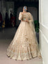 Cream Pure Net Silk Heavy Sequin Embroidery Net Lehenga Choli Net Lehenga Choli Anant Tex Exports Pvt.Ltd..