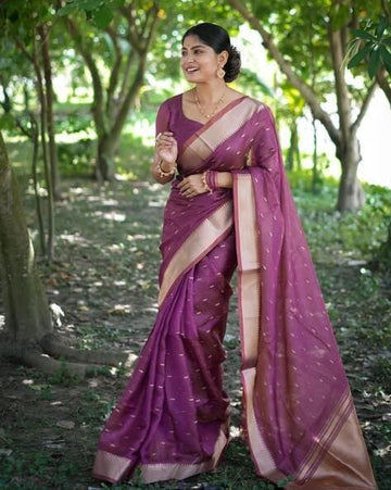 Purple Pure Soft Kalyani Silk Saree
