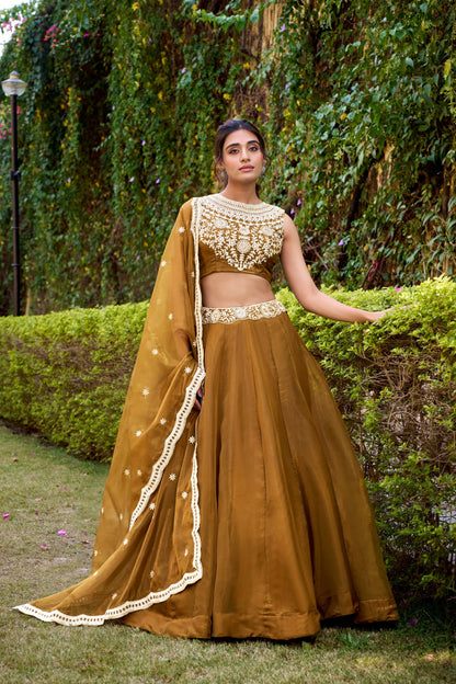 Bronze Color Embroidery Work Chaniya Choli 