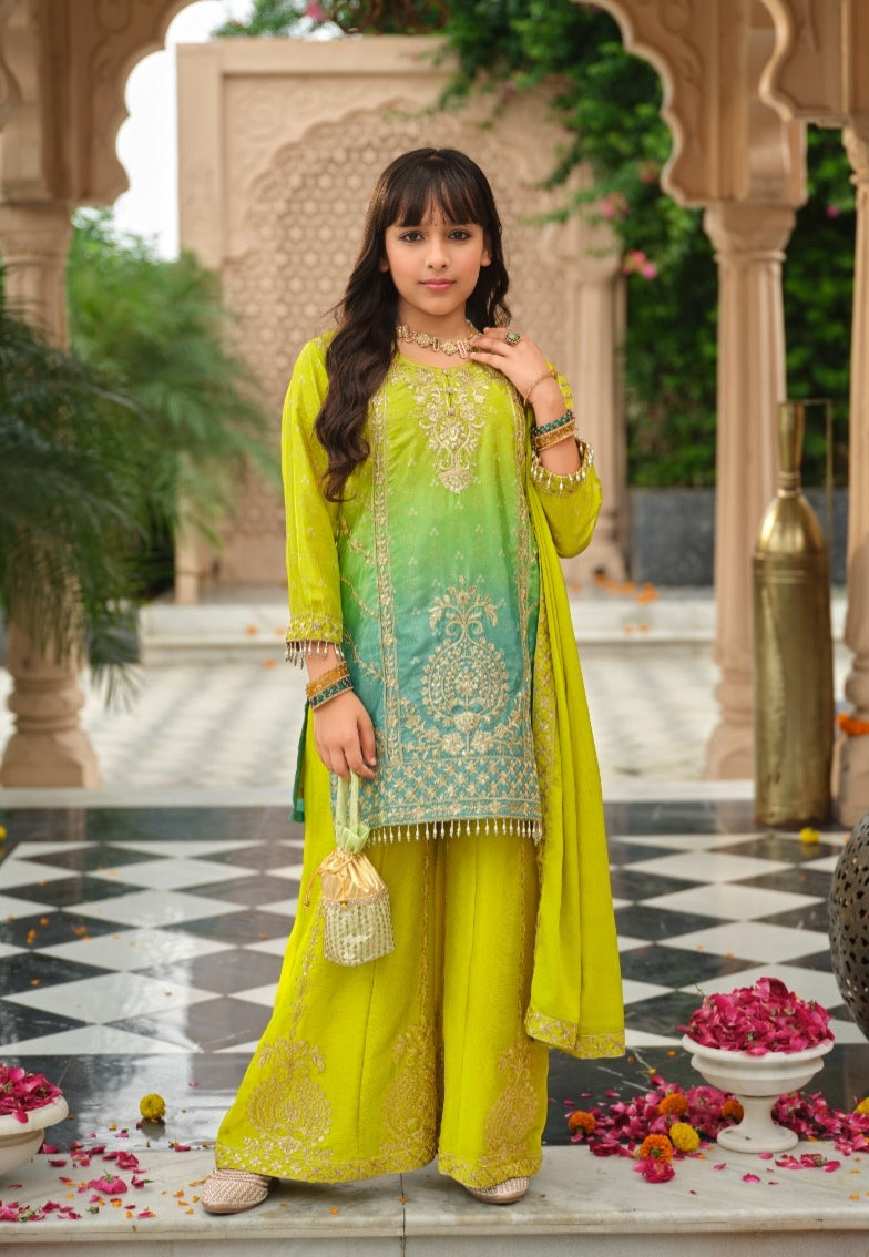 Green Pure Chinon Digital Print With Embroidery Work Girls Kids Chudidar