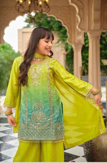 Green Pure Chinon Digital Print With Embroidery Work Girls Kids Chudidar