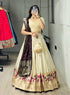 Cream Wine Pure Soft Paithani Silk Zari Weaving Work Paithani Chaniya Choli 